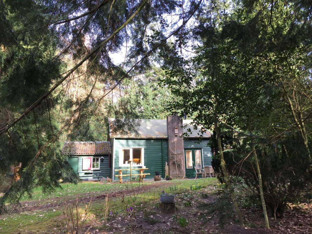Villa Landgoed De Heezeberg Diever Esterno foto