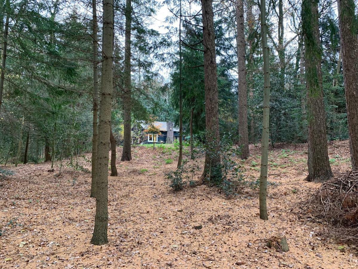 Villa Landgoed De Heezeberg Diever Esterno foto